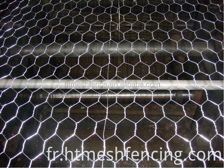 Galvanisé Fil de poulet hexagonal, 1/2 "Hex Mesh Poulet Netting